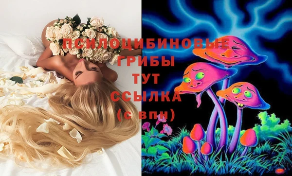 MDMA Армянск