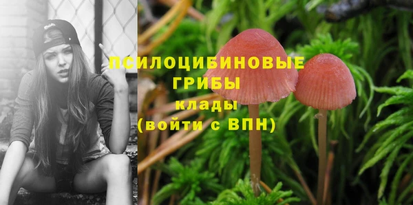 амф Нефтекумск