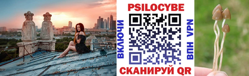 Галлюциногенные грибы прущие грибы  Славск 